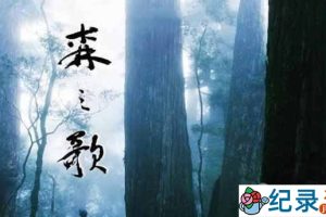 PTS自然生态纪录片《森之歌 Song of the Forest》全1集中字 720P/1080i高清纪录片资源百度云盘下载