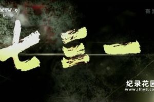 抗战历史纪录片《七三一》全5集 720P/1080P高清纪录片