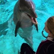 聪明的海豚 Dolphins-Deep Thinkers