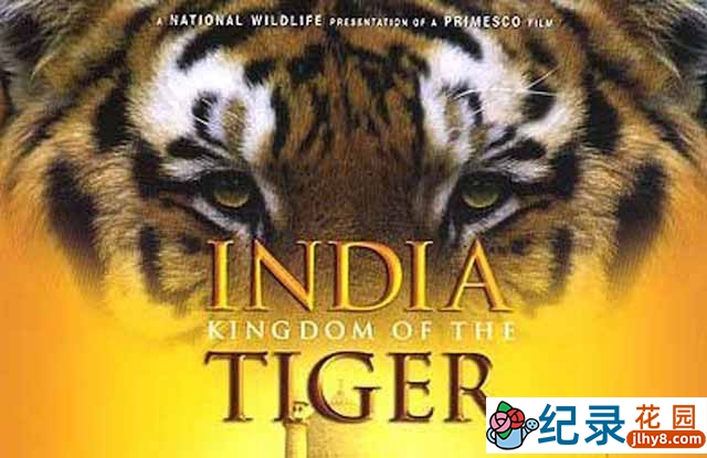 IMAX动物保护纪录片《印度 老虎王国 India: Kingdom of the Tiger》全1集 720P/1080i高清纪录片资源百度云盘下载