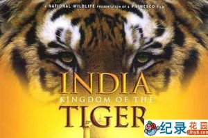 IMAX动物保护纪录片《印度 老虎王国 India: Kingdom of the Tiger》全1集 720P/1080i高清纪录片资源百度云盘下载
