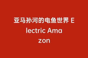 亚马孙河的电鱼世界 Electric Amazon
