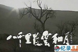 中国民俗人文纪录片《八千里路云和月》全30集 标清纪录片百度云下载