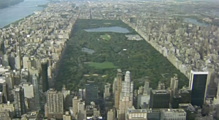 野性新世界 Wild New World