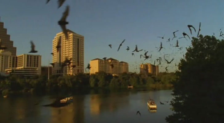 野性新世界 Wild New World