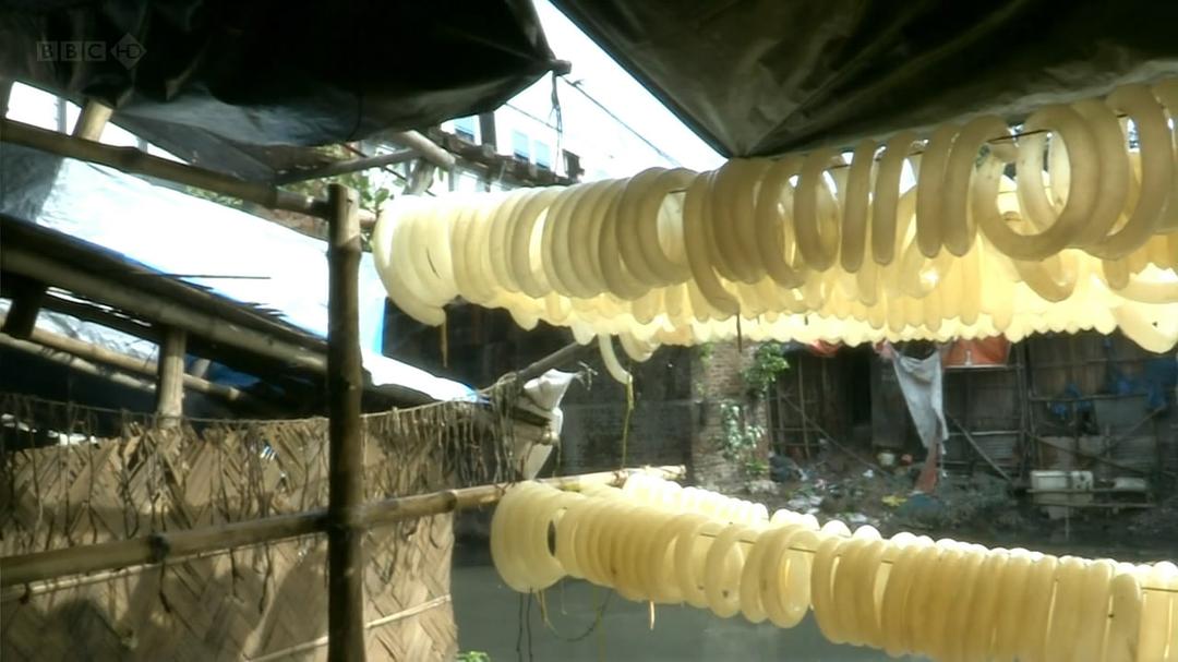 欢迎来到印度 Welcome to India