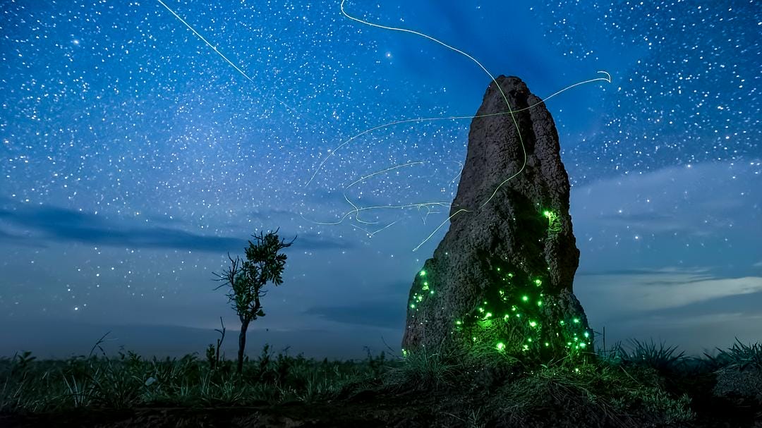 夜色中的地球 第一季 Earth at Night in Color Season 1