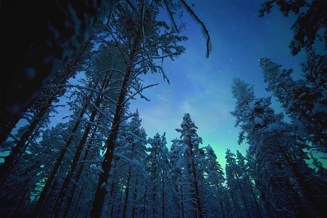 夜色中的地球 第一季 Earth at Night in Color Season 1