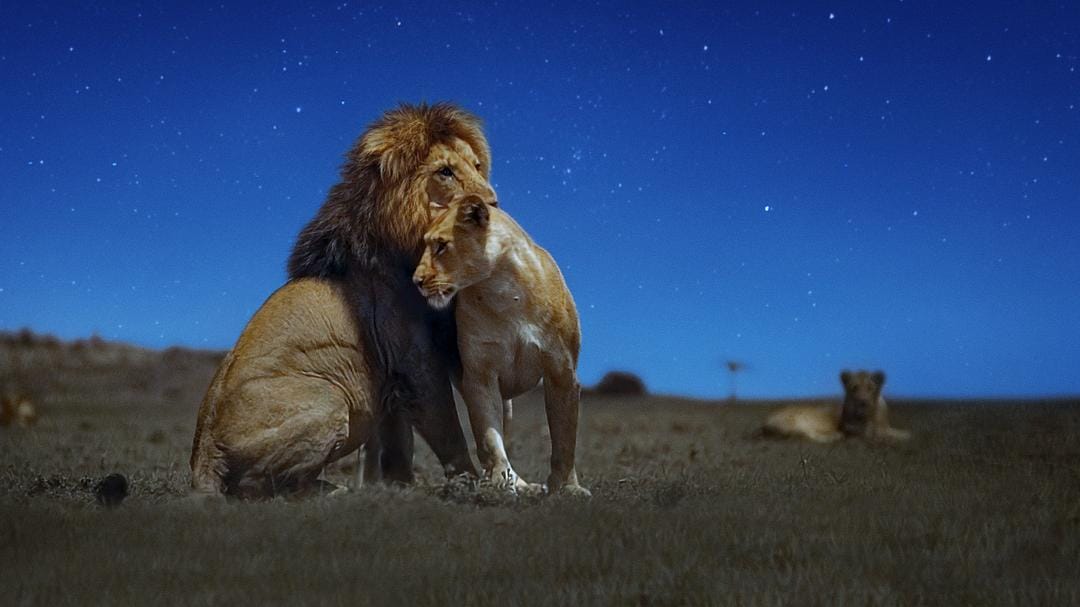 夜色中的地球 第一季 Earth at Night in Color Season 1