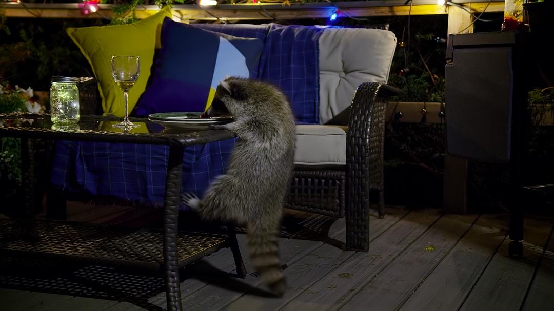 夜色中的地球 第一季 Earth at Night in Color Season 1