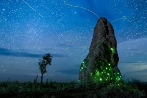 夜色中的地球 第一季 Earth at Night in Color Season 1