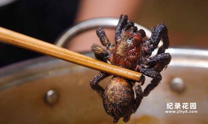 全球美食点评纪录片《阳光美食家》第5季中字 1080高清纪录片解说素材百度云盘下载