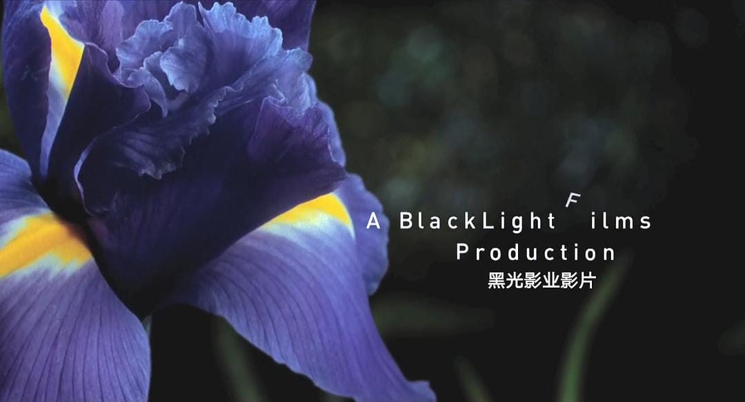 生命之翼 Wings of Life