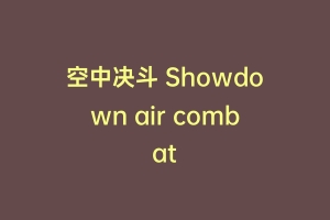 空中决斗 Showdown air combat