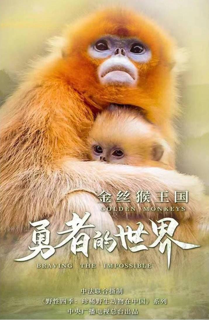 金丝猴王国：勇者的世界 2023