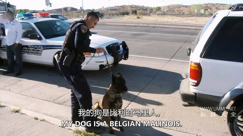 边境法规 Law on the Border