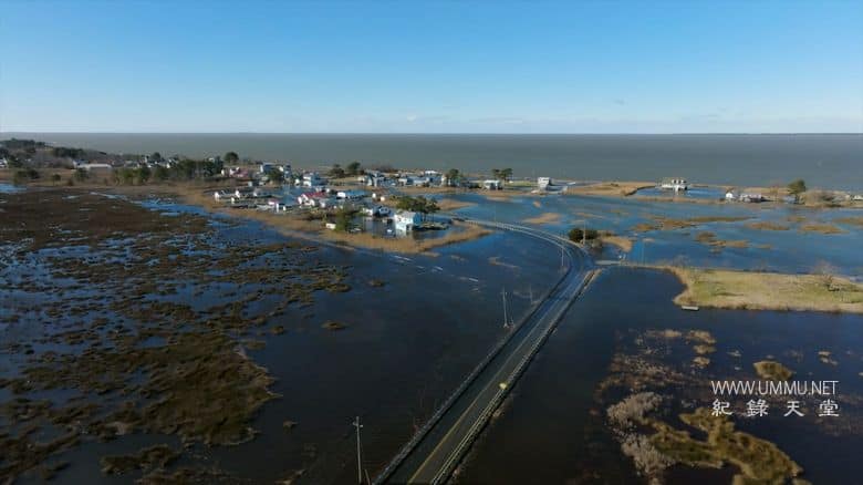 逆流而上：东海岸的生活 Against the Current: Life on the Eastern Shore