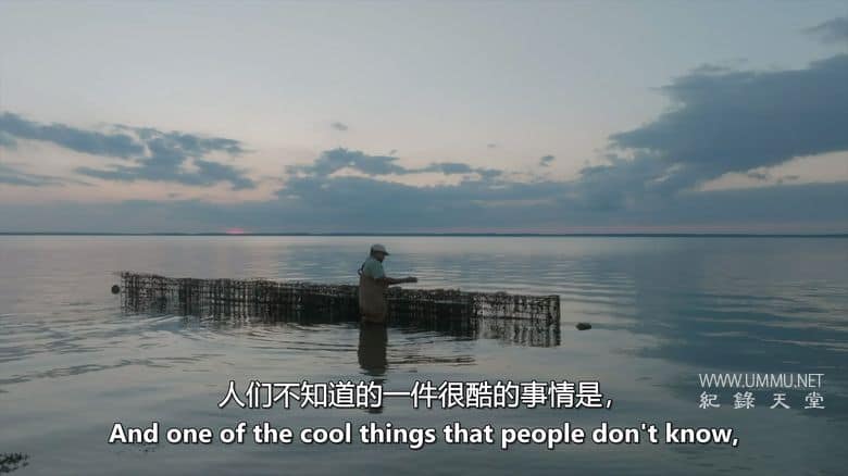 逆流而上：东海岸的生活 Against the Current: Life on the Eastern Shore