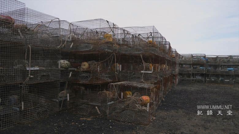 逆流而上：东海岸的生活 Against the Current: Life on the Eastern Shore