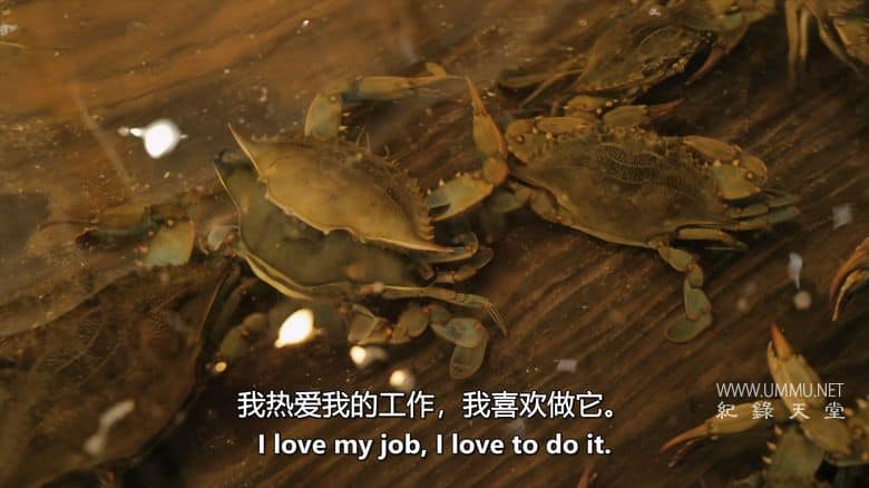 逆流而上：东海岸的生活 Against the Current: Life on the Eastern Shore