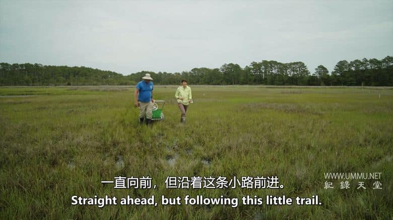 逆流而上：东海岸的生活 Against the Current: Life on the Eastern Shore