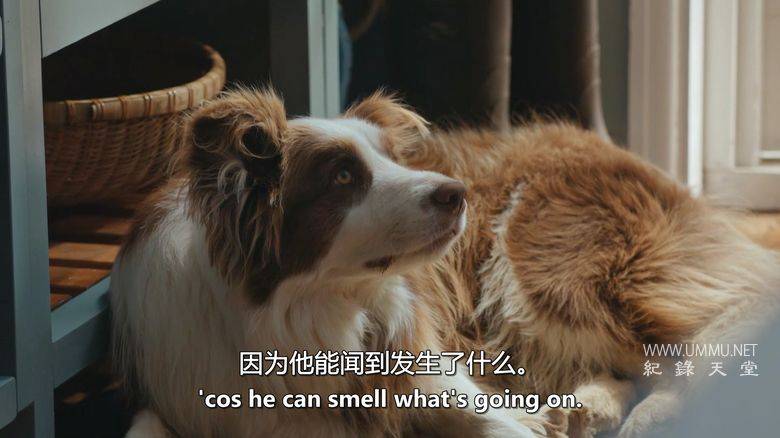 杰米的居家速食宝典 Jamie: Fast and Simple