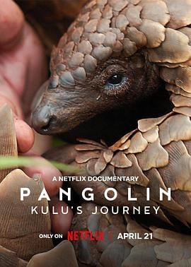 穿山甲Kulu的旅程 Pangolin: Kulu’s Journey
