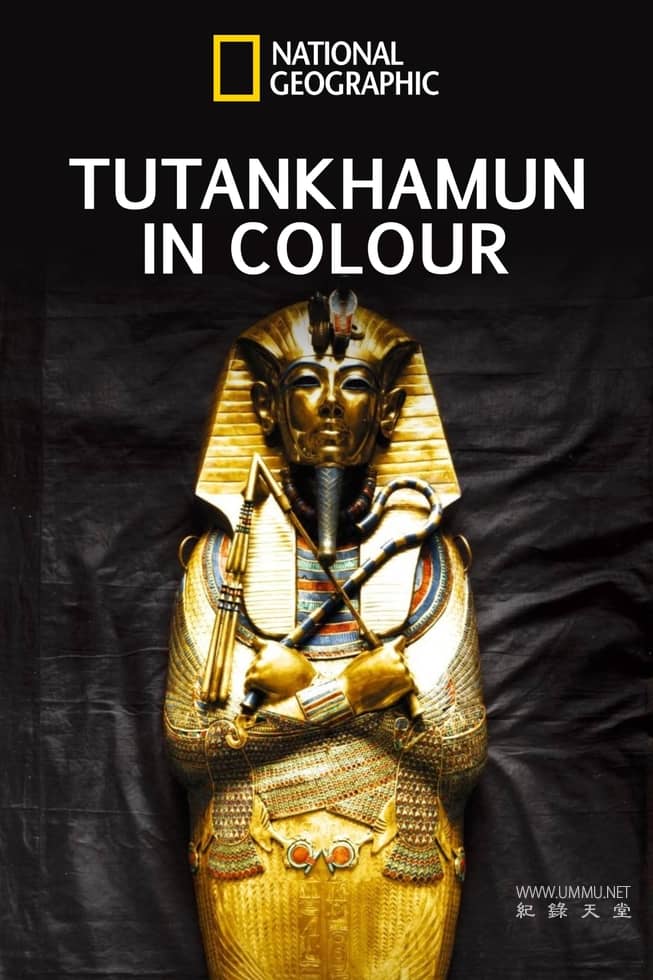 全彩少年法老 King Tut in Color
