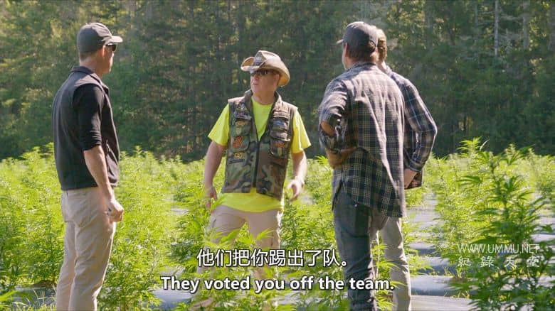 大麻之王 Kings of Kush