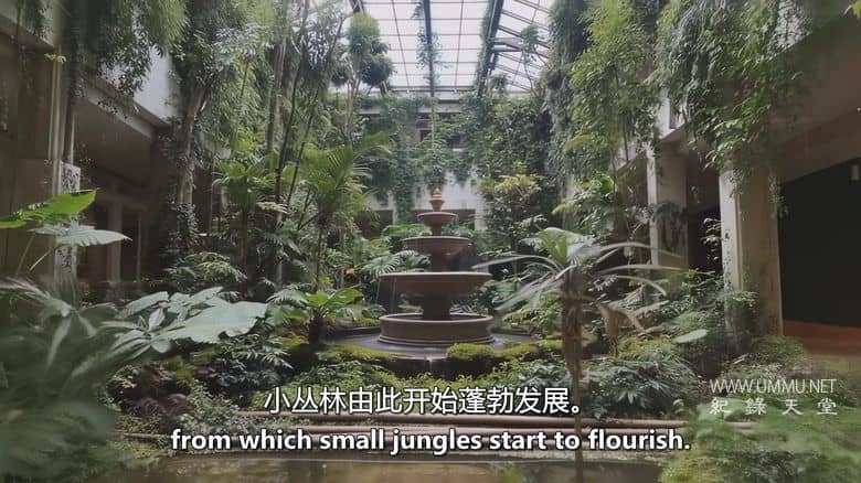 人类消失后的世界 第三季全8集 Life After People