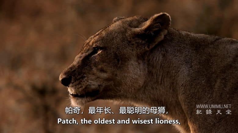 卡塔维 – 非洲的堕落天堂 Katavi – Africa's Fallen Paradise