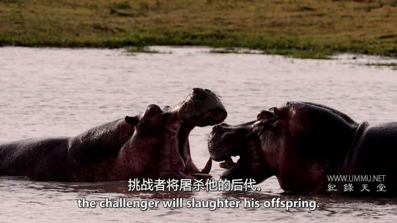 卡塔维 – 非洲的堕落天堂 Katavi – Africa's Fallen Paradise