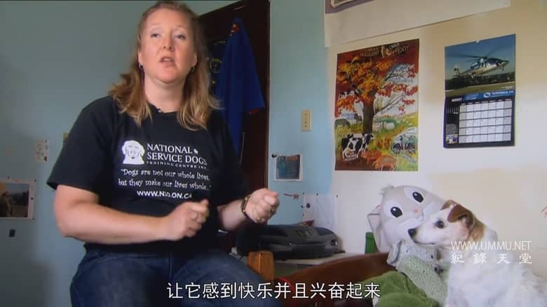 非凡的狗儿 Extraordinary Dogs