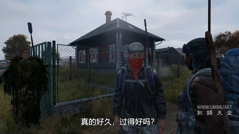 尼特岛 Knit's Island