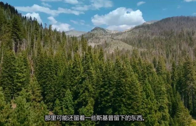 大脚怪带走了她 Bigfoot Took Her