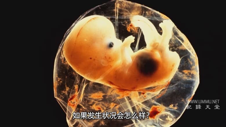 性别解码 Gender Revolution