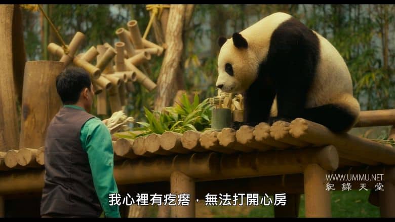 再见，福宝 My Dearest Fu Bao