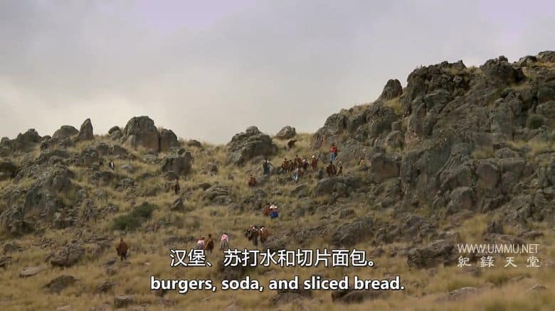 未来的食物 Future Food