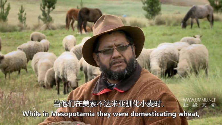 未来的食物 Future Food