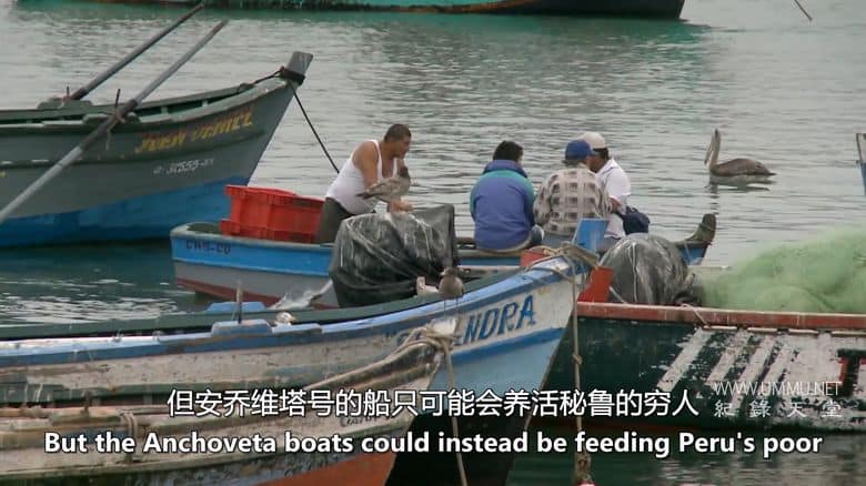 未来的食物 Future Food