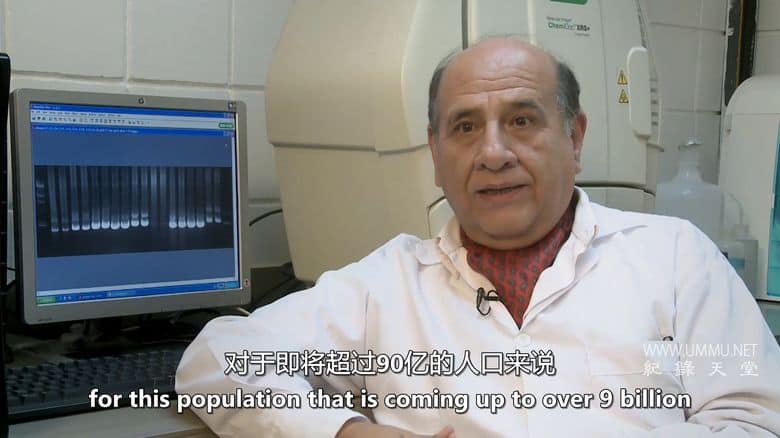 未来的食物 Future Food