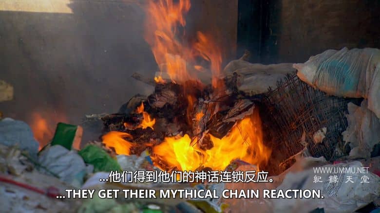 流言终结者儿童版 MythBusters Jr