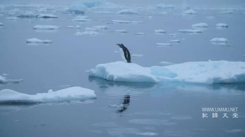第七大洲：南极洲 Continent 7: Antarctica
