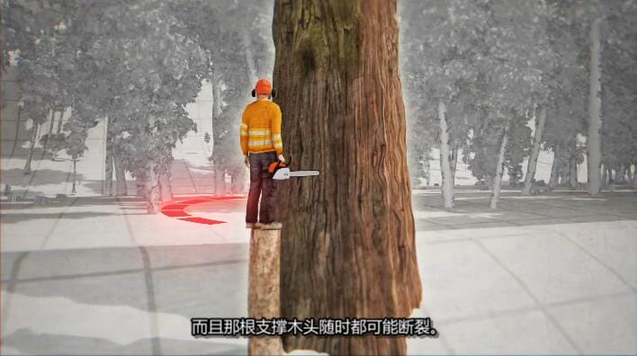 最后的伐木工 The Last Woodsmen