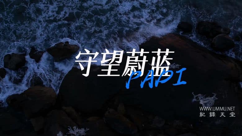 海洋守蔚者