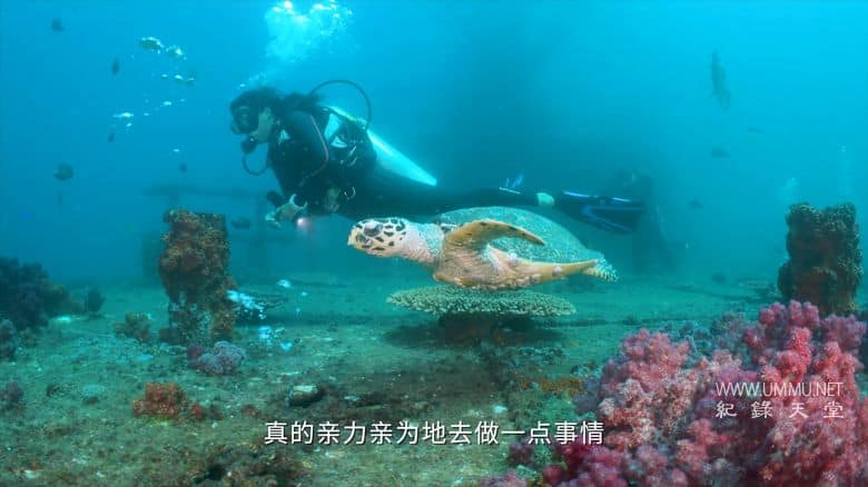 海洋守蔚者