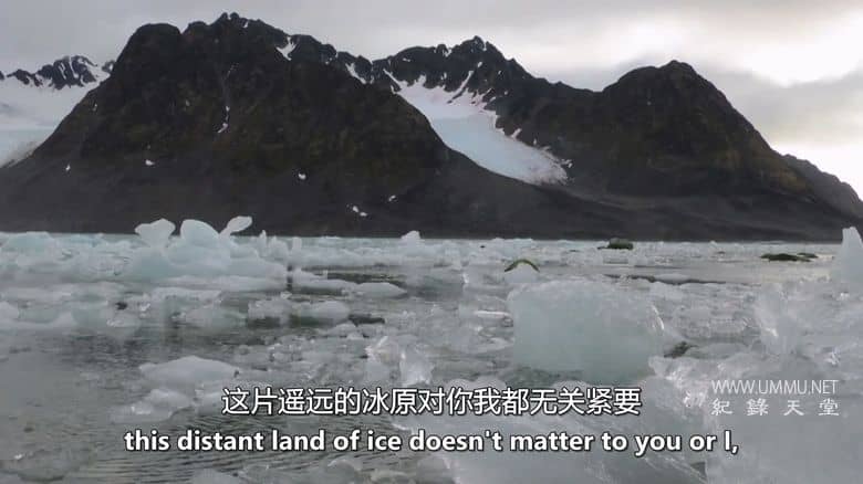 格陵兰岛：边缘生存 Greenland: Survival at the Edge