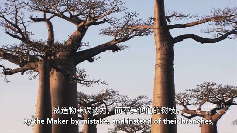 世界名胜 Great Places of the World