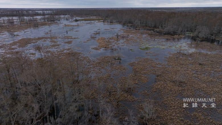 飓风卡崔娜：隐藏的伤痕 Hurricane Katrina: Race Against Time