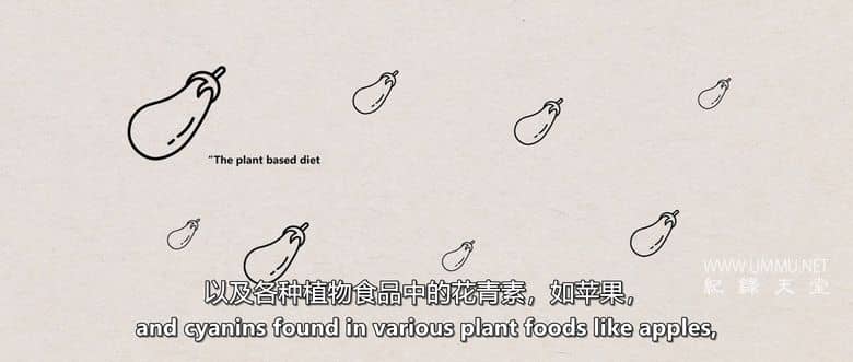 我永远不可能成为素食者 I Could Never Go Vegan